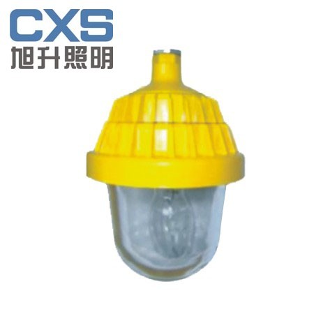 供应CBPC8720防爆平台灯